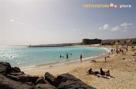 Playa Chica Fuerteventura Pictures, videos & insider。